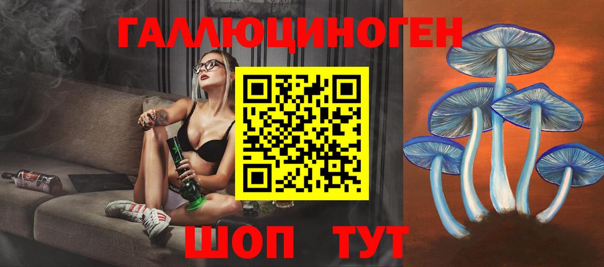 хочу   Псилоцибиновые грибы GOLDEN TEACHER  Вход с VPN  Моздок 
